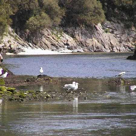 营地 里约普隆营地旅馆 *